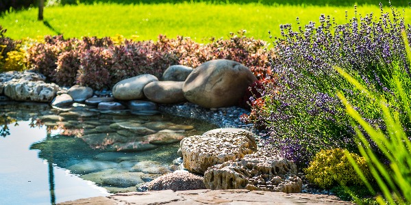 beautiful landscaping with beautiful plants