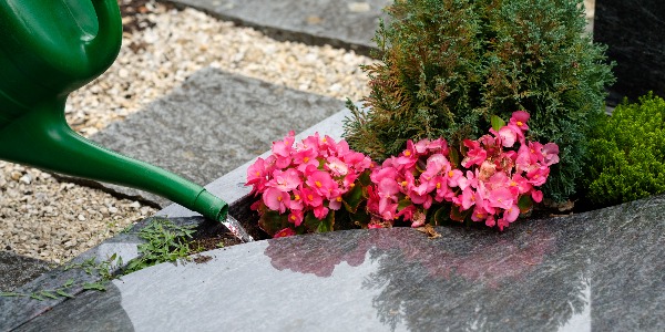 Hand tut Blumen am Grab gießen