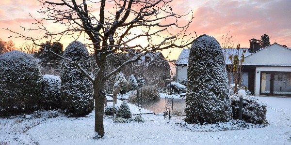 Winter im Garten